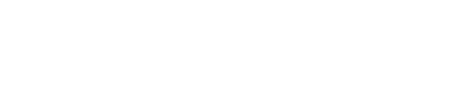 DomainSearch.LK Logo